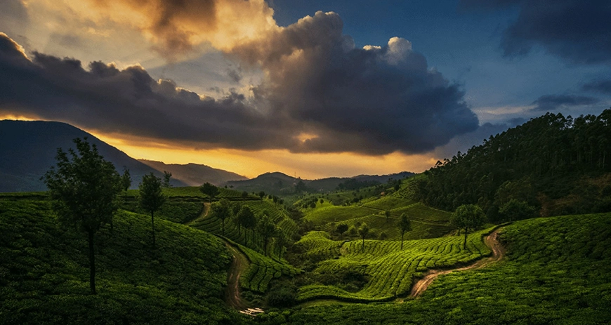 Explore Coonoor’s tea farms, scenic views, and peaceful spots, perfect for nature lovers.