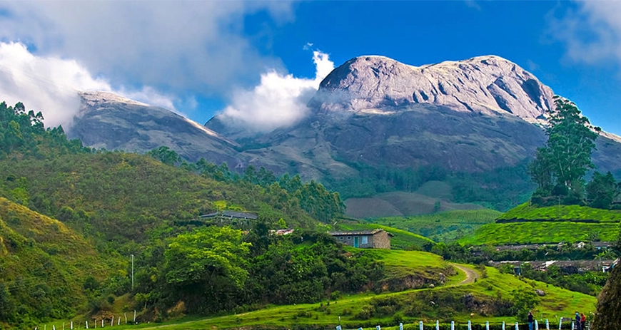 Visit Munnar for stunning tea estates, wildlife, and scenic views perfect for nature lovers.