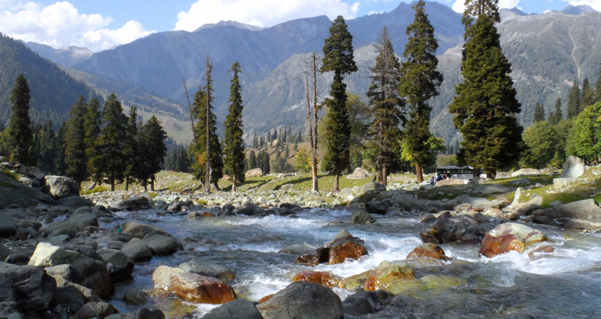 Discover Sonamarg's stunning meadows, glaciers, rivers, and historic Mughal gardens.