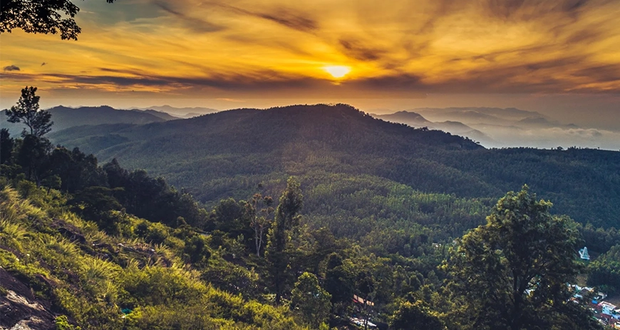 Explore Yercaud’s coffee farms, scenic views, and peaceful atmosphere for a budget-friendly retreat.